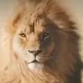 Lionking11-lion_king11