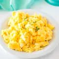 ScrambledEgg-jologztrangia