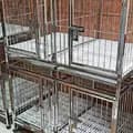 304 Stainless dogcage (OBANDO)-obandoquality_dogcages