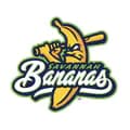 thesavbananas-thesavbananas