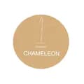 The Modern Chameleon LLC.®-themodernchameleonllc