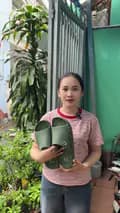 Dép Thái Lan Cao Cấp-depthailannhapkhau