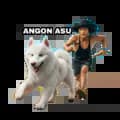 Ocen (Ocean white Husky)-ardiwibowo_bowok