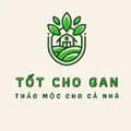 Thảo Mộc Tốt Cho Gan-trathaomoc_totchogan