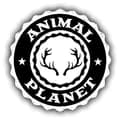 Animal Planet Videos-animalplanetvideos