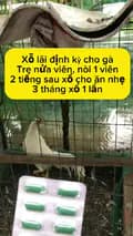 Thuốc gà uy tín🐔-thuocgauytin71