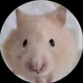Hamster baby-ganhatxuu