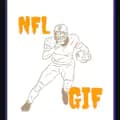 nflgif-nflgif