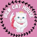 AdopsiKucingTangerang-irewcathouse12