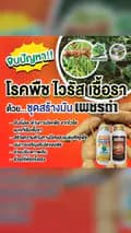 กนกวรรณ อุปกรณ์ช่างและการเกษตร-kamikasekaew