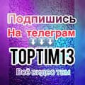 toptim-toptim13