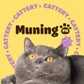 Muning Cattery-muningphcattery
