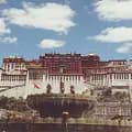 티베트문화-tibet767