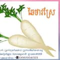 ឆៃថាវស្រែ/Khmer Farm-phanith232