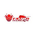 Falcon Techgame Enterprise-falcontechgame