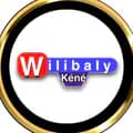 wilibaly kéné TECH-wilibalytech_223