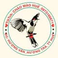 Chào Mào Huế-chaomaogochue