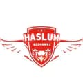 Haslum Redhawks-haslumdamer