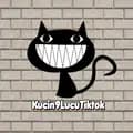 KucingLucuTiktok-kucinglucu_tiktok