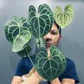 Huy Kiểng Lá-huy_with_plants