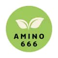 Amino-666-amino666wellness