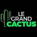 Le Grand Cactus - RTBF-legrandcactus