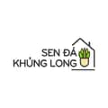 sen đá khủng long và mini-sendakhunglong1