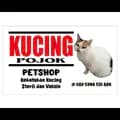 Kucing Pojok Petshop-kucingpojok