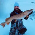 JD_Ice_Fishes-jd_ice_fishes