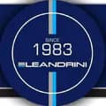 Leandrini-leandriniblindagens