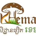 Khema Farm កសិដ្ឋានផ្សិត ខេមា-khemafarm