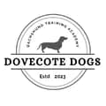 Jack-dovecotedogs