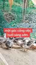 mẹ bỉm khuyết tật-miu_mon28