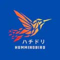Hummingbird ID-hummingbirdid