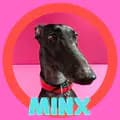 Minx The Galgo-minxthegalgo