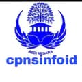 INFO CPNS PPPK LOKER 2024-cpnsinfoid