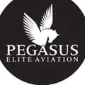 Pegasus Elite Aviation-pegasuseliteaviation