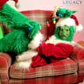 The Grinch-thegrinchperformer