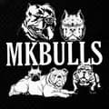 MKBULLS_ORIGINAL👑OG👑-mkbulls_original