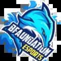 BFaundation Esports-bfaundation.esports