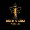 Bách Y Sâm VN-bachysamvn