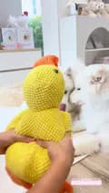 อูยูบิงซู&ทูยู ซามอยด์พาเที่ยว-thesamoyed.journey