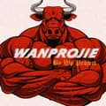 Wanprojie-garagewpproject92