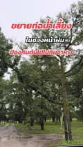 สวนสัสดีพงษ์จันทบุรี-lafahhnadakan