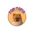 สนุ๊กเกอร์SHOP-pompomtopia