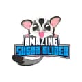 Amazing Sugar Glider-amazingsugarglider