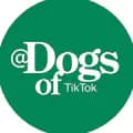 DogsOf TikTok-dogsoftiktok