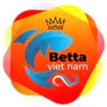 Betta Việt Nam-bettavietnam_0947270772