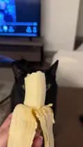 Salem-salemthebananacat