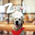 Zeppole | THE PIZZA DOG-thegoldenzeppole